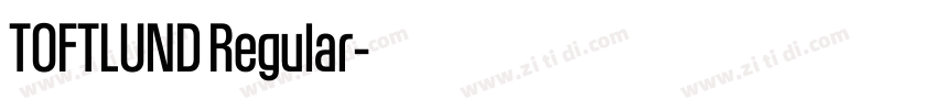 TOFTLUND Regular字体转换 TOFTLUND Regular字体转换
